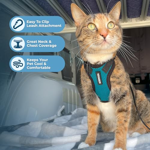 Voyager Step in Lock Cat Harness & Leash Set (Turquoise/Black Trim / XXS (Chest: 11.5 - 14"))