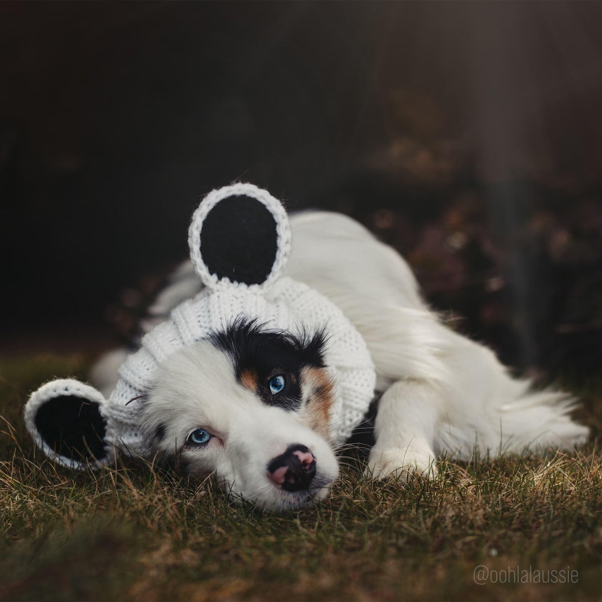 Panda Costume (Medium / Panda)