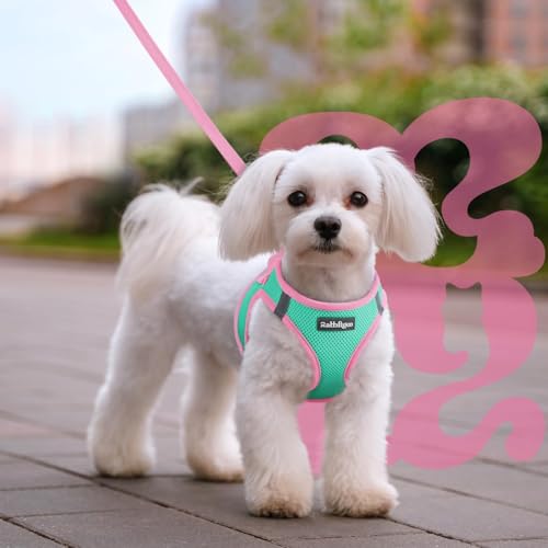Dog Harness Small Sized and Leash Set (Teal & Pink / L (Chest: 18.2"-20.5"))