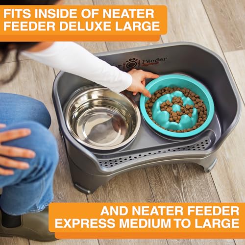 The Niner Slow Feed Bowl (Aquamarine / 2 Cup)