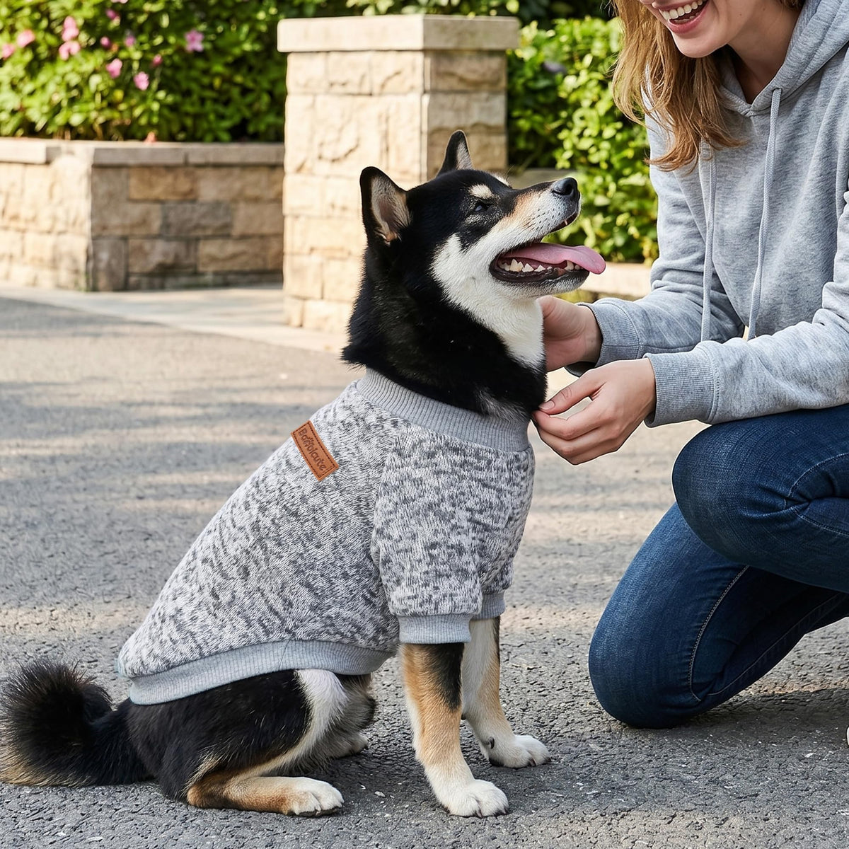 1 Pack Dog Sweater for Small Dogs Girl Boy Winter Fleece Clothes Warm Soft Dog Sweatshirt Outfit for Dogs Cats Pet Apparel (Grey / S (Back: 11.8", Chest: 15.7", 5.5-10 lbs))
