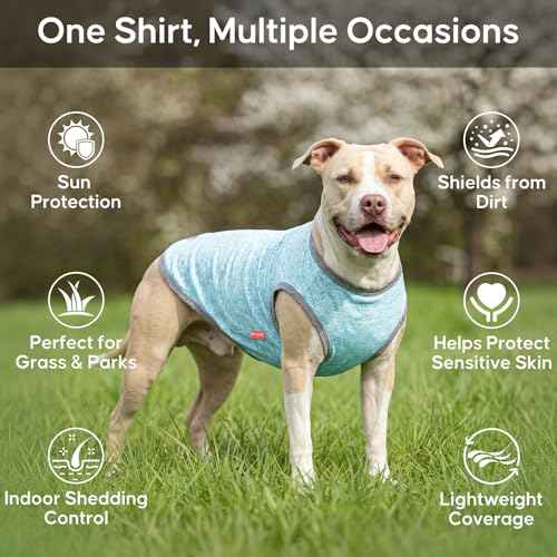 2Pack Dog Shirt for Medium Dogs Sun Protection Tank Top for Summer (XX-Large (40-55lbs) / 7# 2Pack (Grey+Sky Blue))