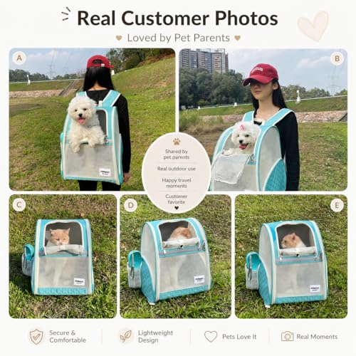 Cat Backpack Carrier for Small Dogs and Medium cat Puppy Kitten Bunny Pet Carrier Backpack Collapsible with Fully Ventilated Mesh with Safety Leash (LightGreen / 12.9"L x 10.62"W x 15.5"H)