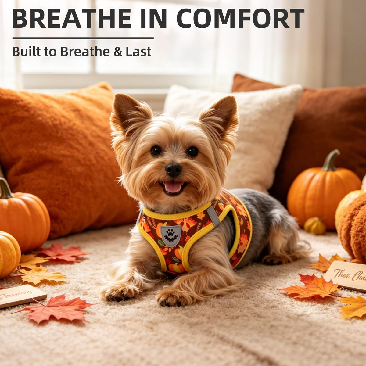 Dog Harness Collar and Leash Set No Pull for Small Medium Sized (Brown&Yellow (Fall) / XXS (CHEST 11.5"-13"))