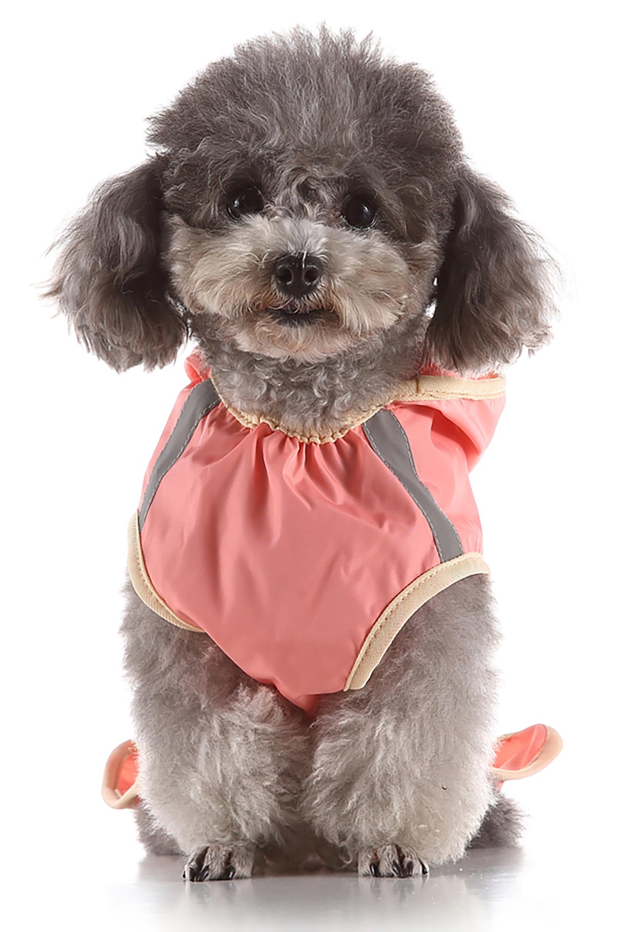 Dog Raincoat Hooded Reflective Waterproof Slicker Poncho (Pink / XS(1-2 pound))