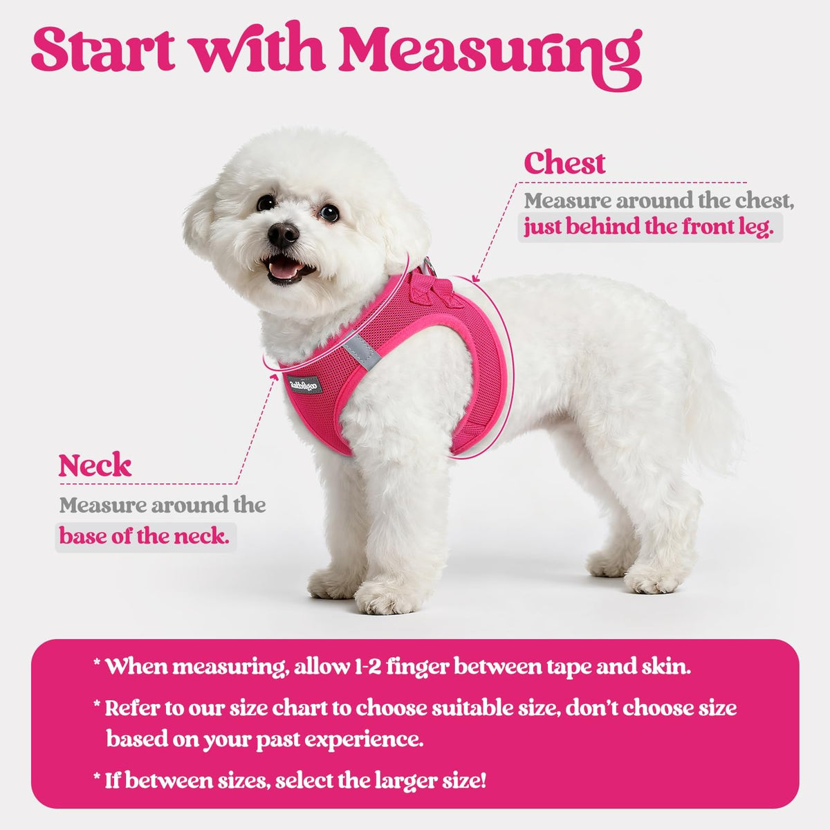 Dog Harness Small Sized and Leash Set (Rose Red / Xs (chest: 13.3 - 15.5"))