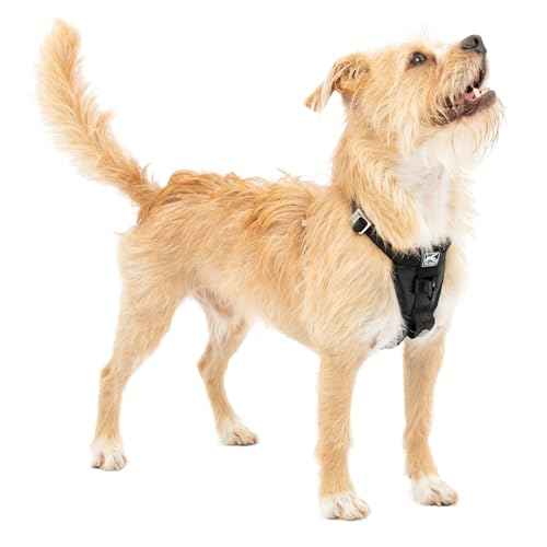 Enhanced Strength Tru (Black / Small)