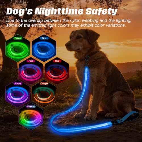 Light Up Dog Leash