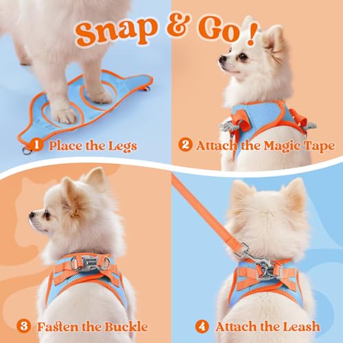 Dog Harness Small Sized and Leash Set (Blue & Orange / L (Chest: 18.2"-20.5"))