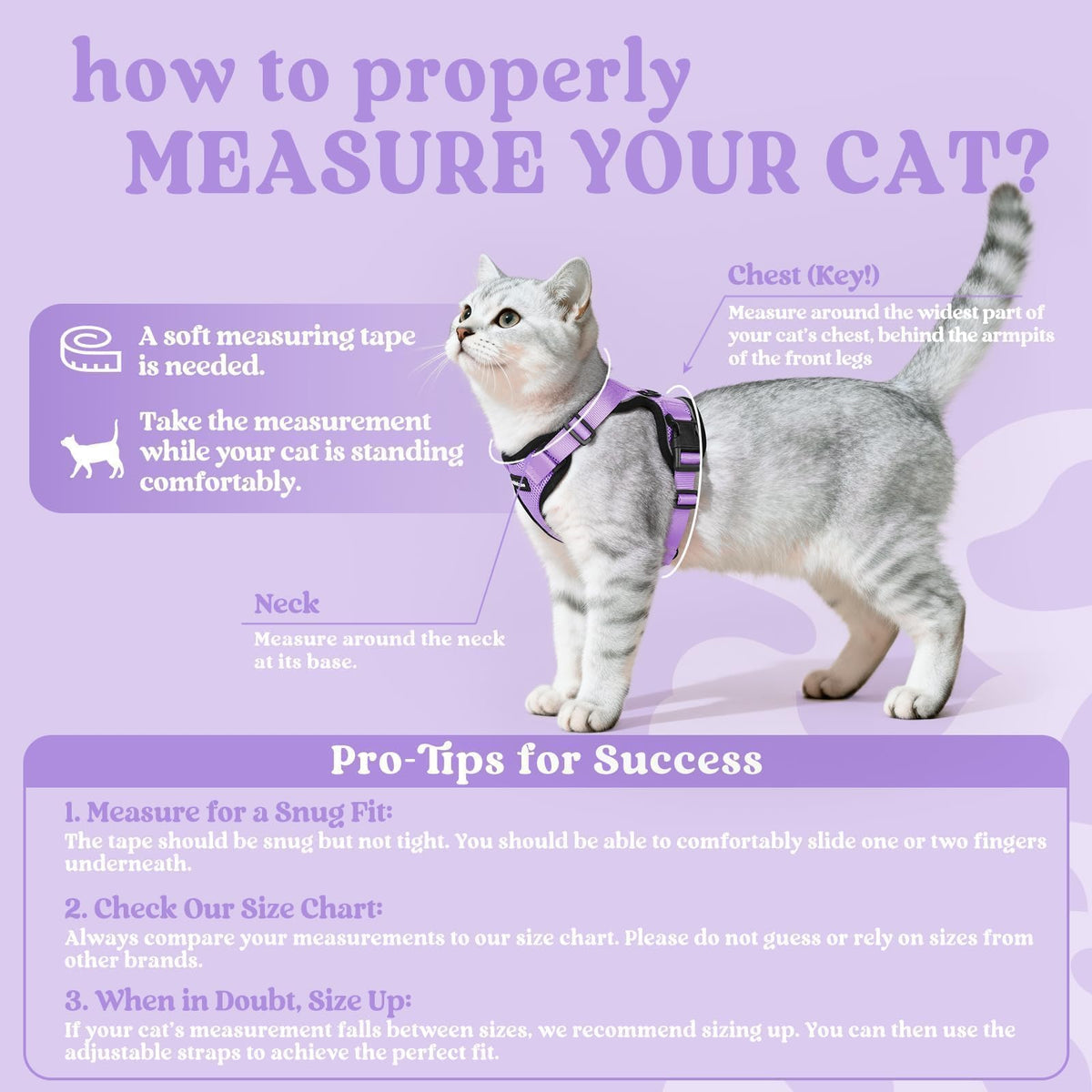 Cat Harness and Leash Set (Xs / Light Purple)