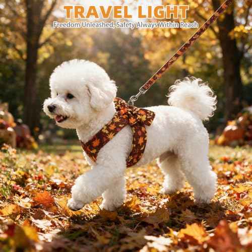 Fall Dog Harness and Leash Set for Small Medium Dogs (Brown / S (Chest Girth: 13.8"-15.7"))