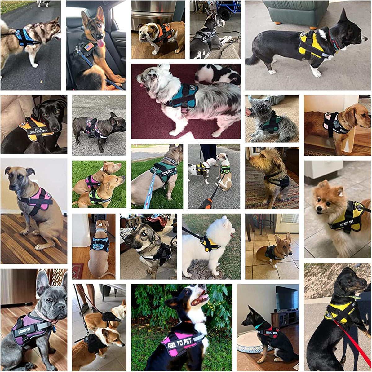 Dog Harness No (X-Large (Pack of 1) / RoseTurquoise)