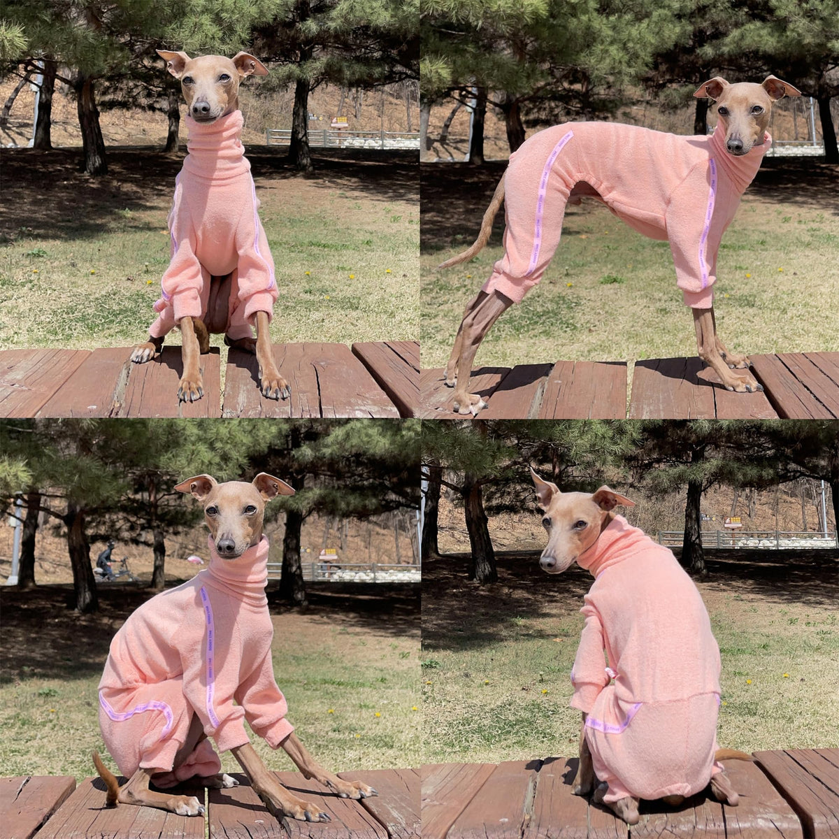 D Doggy Star Italian Greyhound Clothes Stretchy Towel Sports Onesie Outfit Whippet for Dog Coat (S / Towel Apricot)