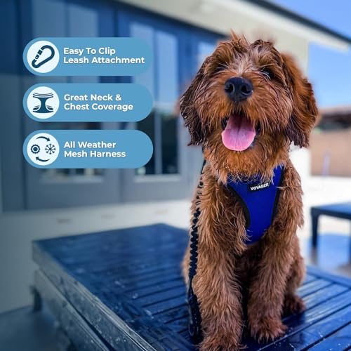 Voyager Step in Air All Weather Mesh Harness and Reflective Dog 5ft Leash Combo with Neoprene Handle