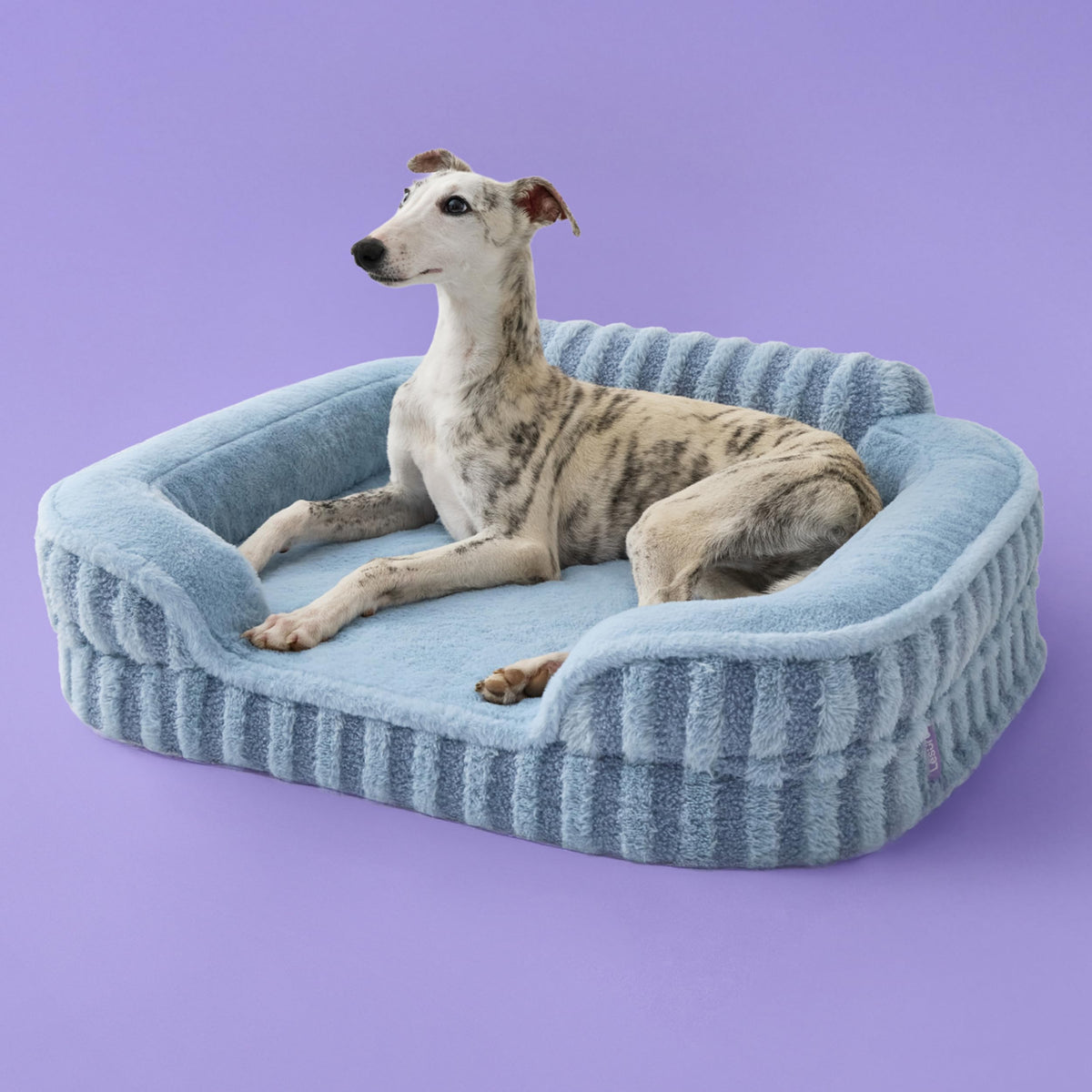 Cute Cozy High Back Orthopedic Dog Beds Medium Size Dog (28.0"l X 23.0"w X 6.5"th / Blue)