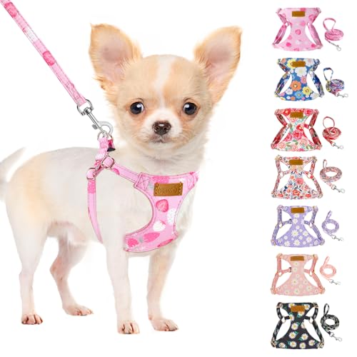 No Pull Dog Harness with Leash for Small Medium Dogs (Medium(18-31lb) / Pink Strawberry)