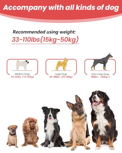 Hands Free Dog Leash (Red / Large-5.9-9.5ft)