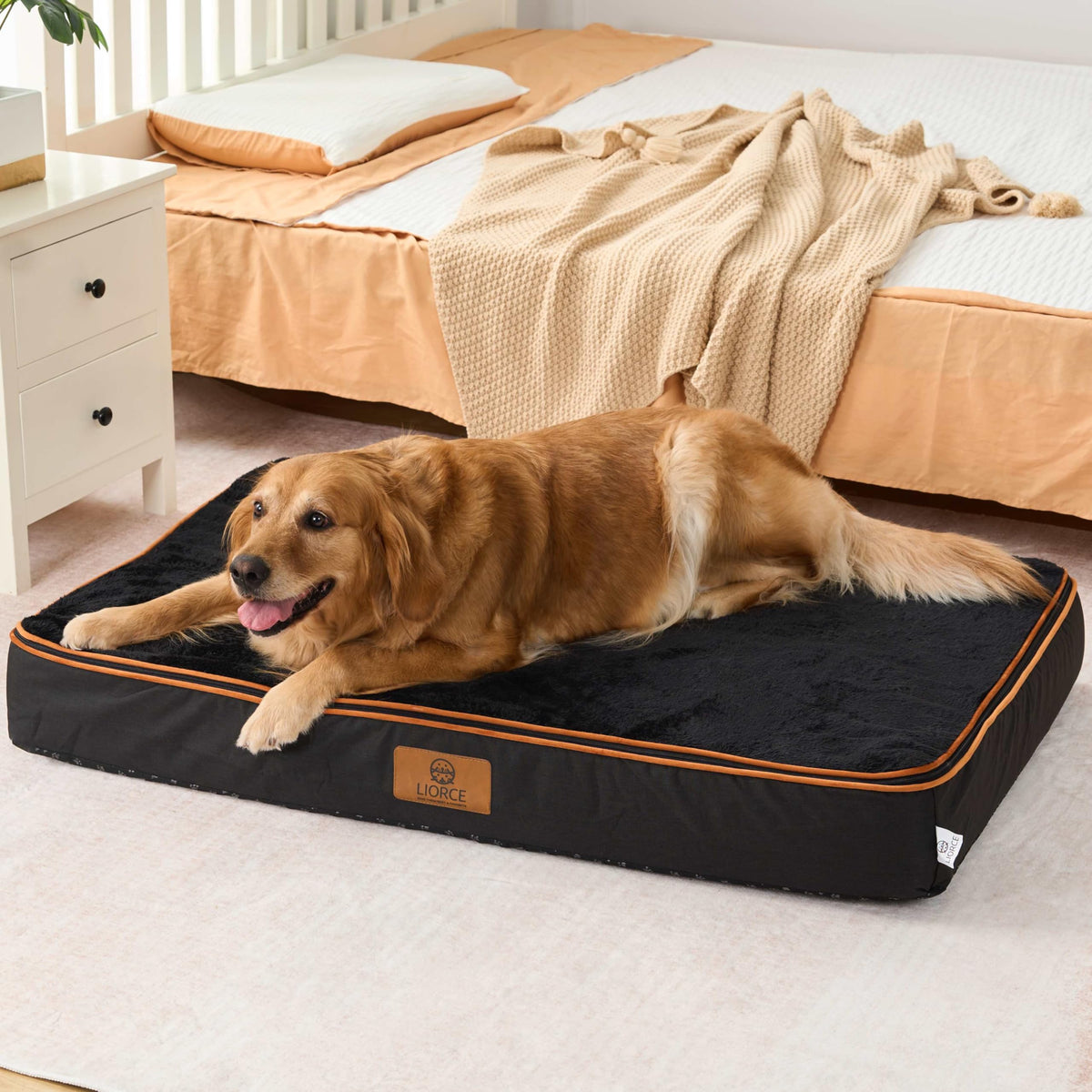 Orthopedic Memory Foam XXL Dog Bed (48.0"L x 30.0"W x 6.0"Th / Space Black)