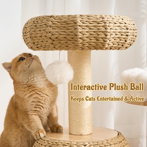 Modern Cat Tree for Indoor Small & Medium Cats (Natural w/ Bed-30")