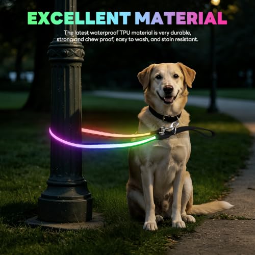 Rechargeable LED Dog Leash (Multi-colored-2)