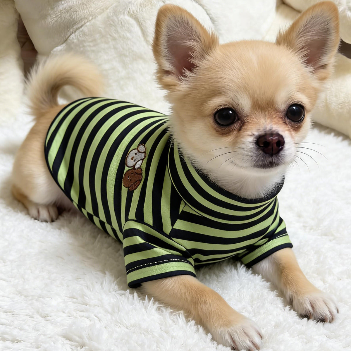 Turtleneck Dog Shirt Cute Doggie Embroidery Super Soft Dog Sweatshirt Stretchy Striped Puppy Pullover for Cats Small Medium Large Dogs (Green Striped / Medium)