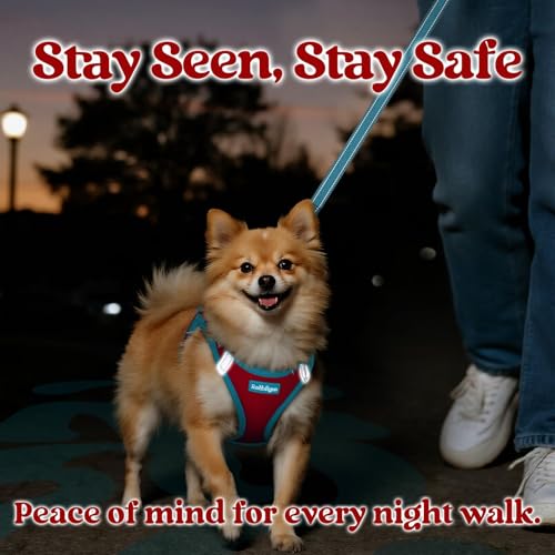 Dog Harness Small Sized and Leash Set (Red & Teal / L (Chest: 18.2"-20.5"))