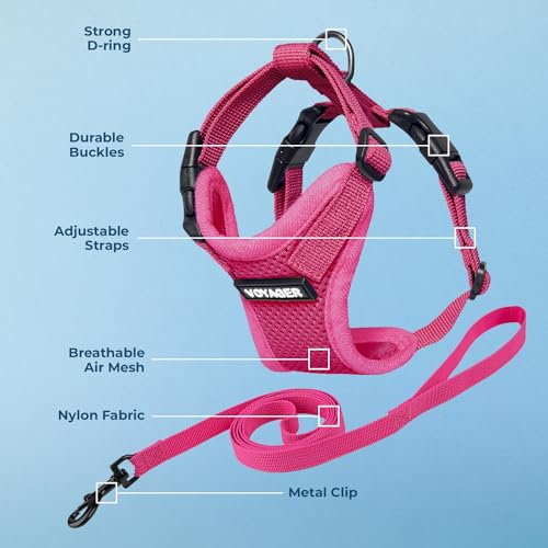 Voyager Step in Lock Cat Harness & Leash Set (Fuchsia / XS (Chest: 13 - 16"))