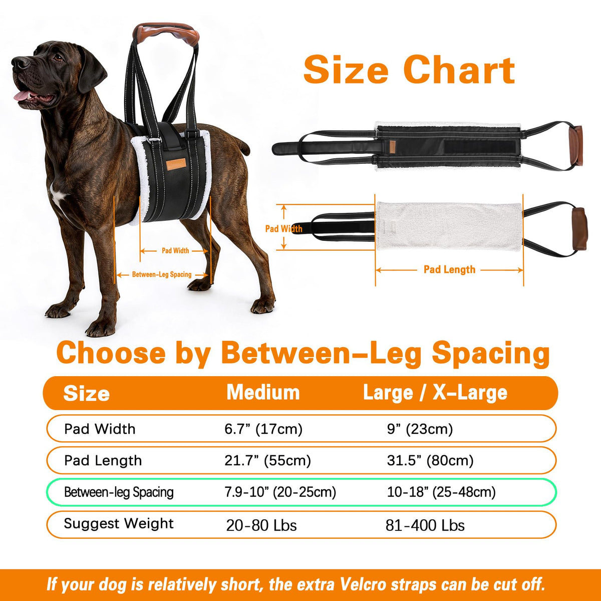 Dog Lift Harness for Large Dogs (Black / L/XL: 81-400 Lbs)
