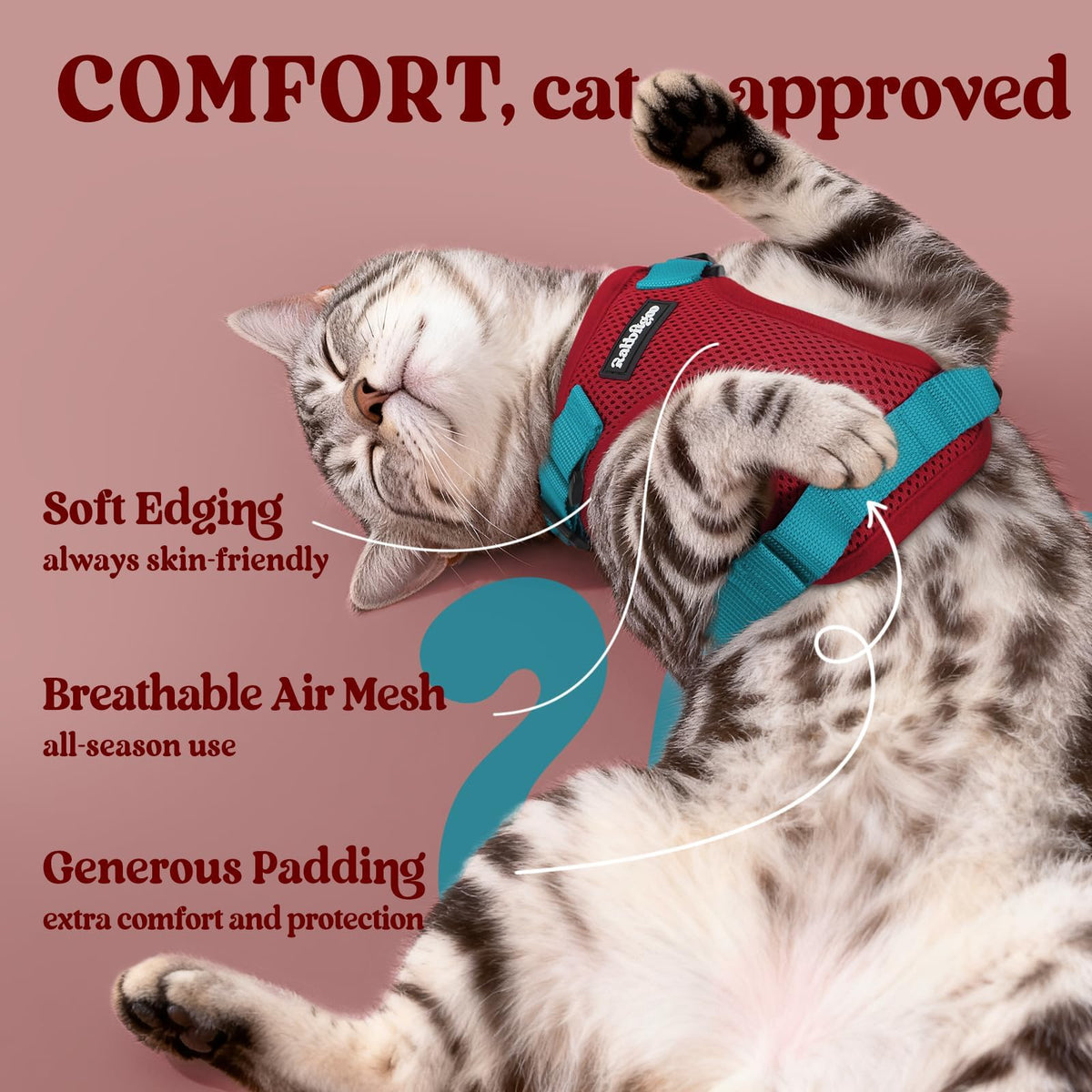 Cat Harness and Leash Set (Xs / Red & Teal)