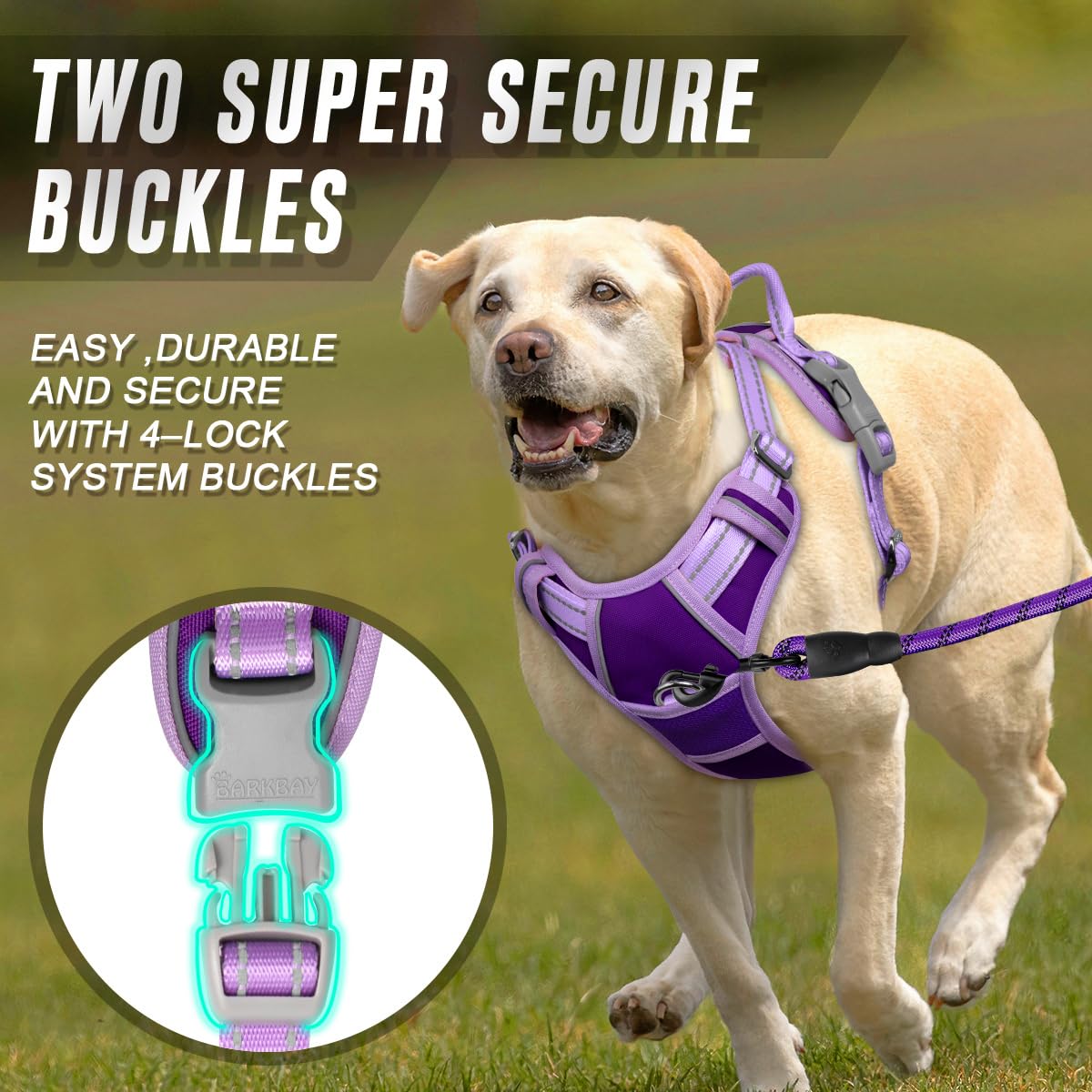 Dog Harness No Pull for Large Dogs Front Back Clips (X-Large(Chest:30-38”) / Violet Purple & Purple)