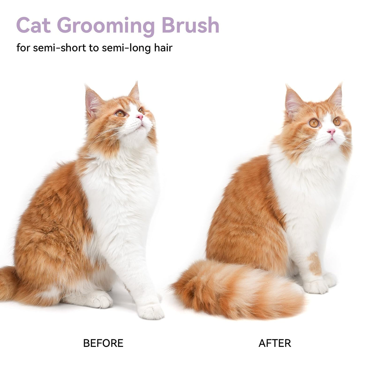 Cat and Dog Grooming Brush for Shedding (Purple)