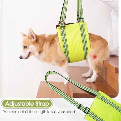 Dog Lift Harness (Fluorescent Green / M)