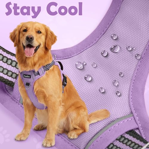 Dog Harness No Pull (Purple / Large)