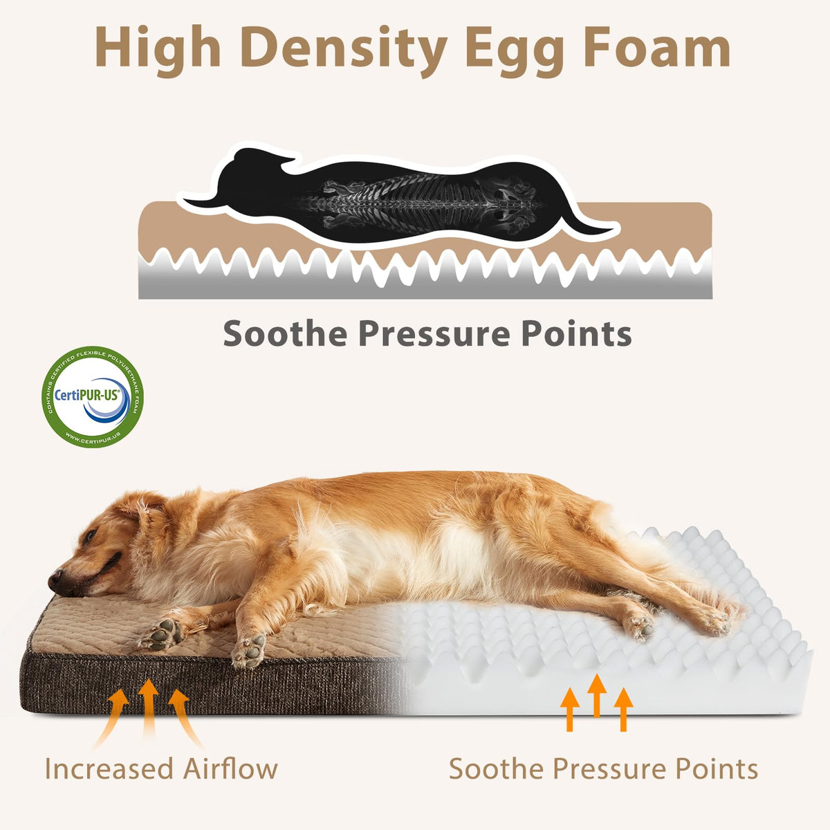 Orthopedic Dog Bed for Small Dogs (S(23"x17") / Brown)