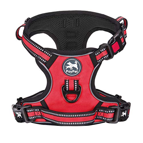 Dog Harness Large (L / Red)