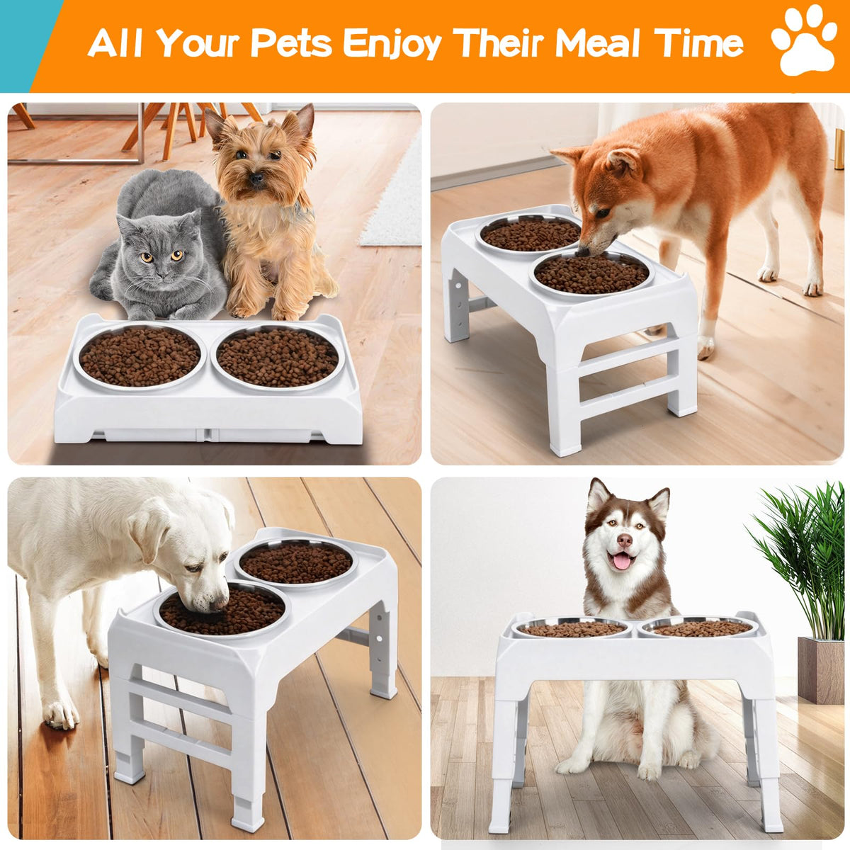 Elevated Dog Bowls (White / 8" for Medium Dogs)