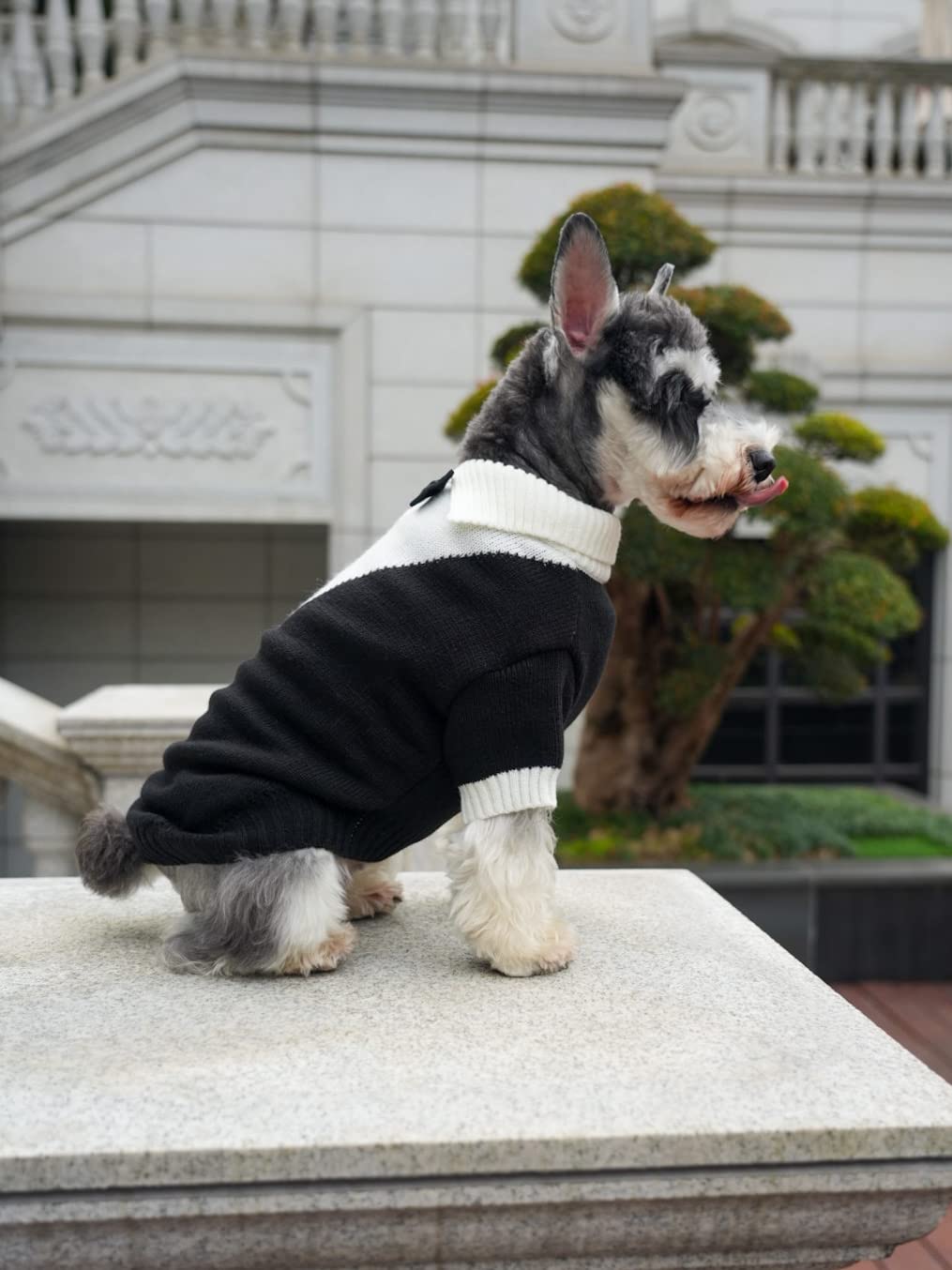 Dog Tuxedo Bow Tie Wedding Party Suit (X-Large / Black White Tuxedo)