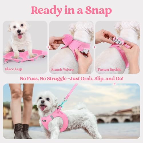 Dog Harness Small Sized and Leash Set (Light Pink / Xxxs (chest: 10.8 - 11.8"))