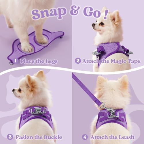 Dog Harness Small Sized and Leash Set (Light Purple & Purple / XXS (Chest: 12.4"-14.2"))