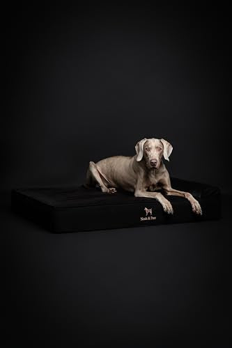 XL Dog Bed 45x35x9.1 Inch (Denim - Black / X-Large)