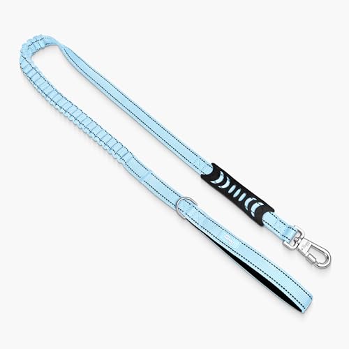 Bungee Dog Leash (Sky Blue / Regular)