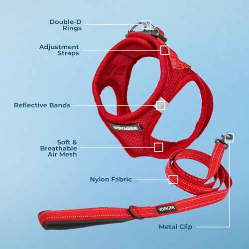 Voyager Step in Air All Weather Mesh Harness and Reflective Dog 5ft Leash Combo with Neoprene Handle (Harness Leash Set (Red) / M (Chest: 16 - 18"))