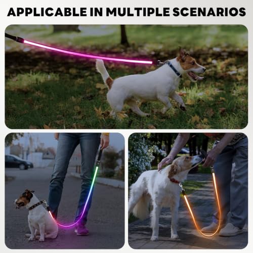 Rechargeable LED Dog Leash (Multi-colored-2)