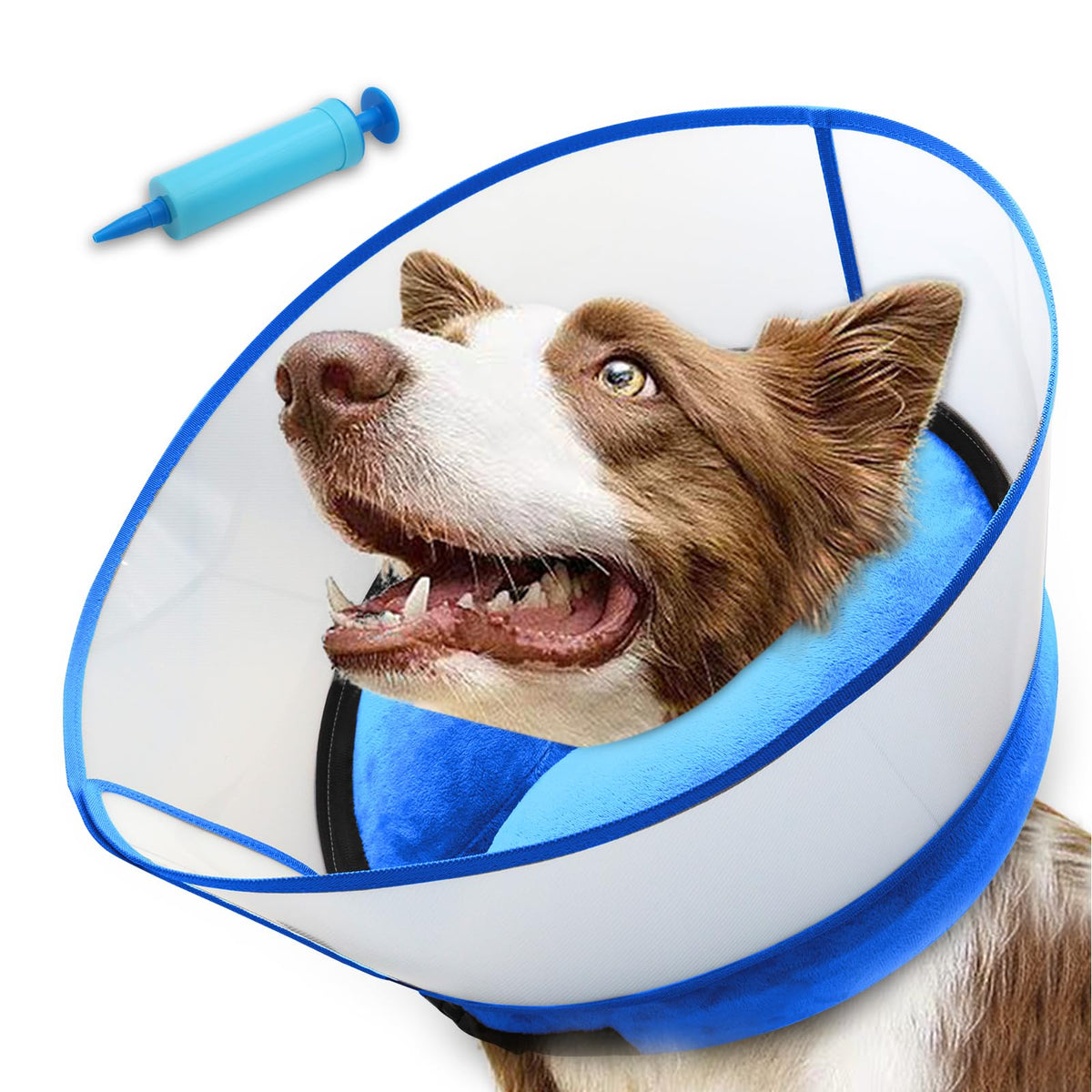 Inflatable Dog Cone Collar (M (Neck: 9-12") / Blue)
