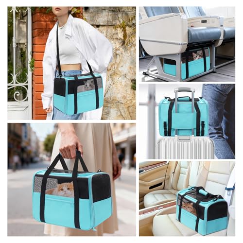 JUNGYOUN Premium Cat Carrier (Blue / 18.0"L x 12.5"W x 14.2"H)