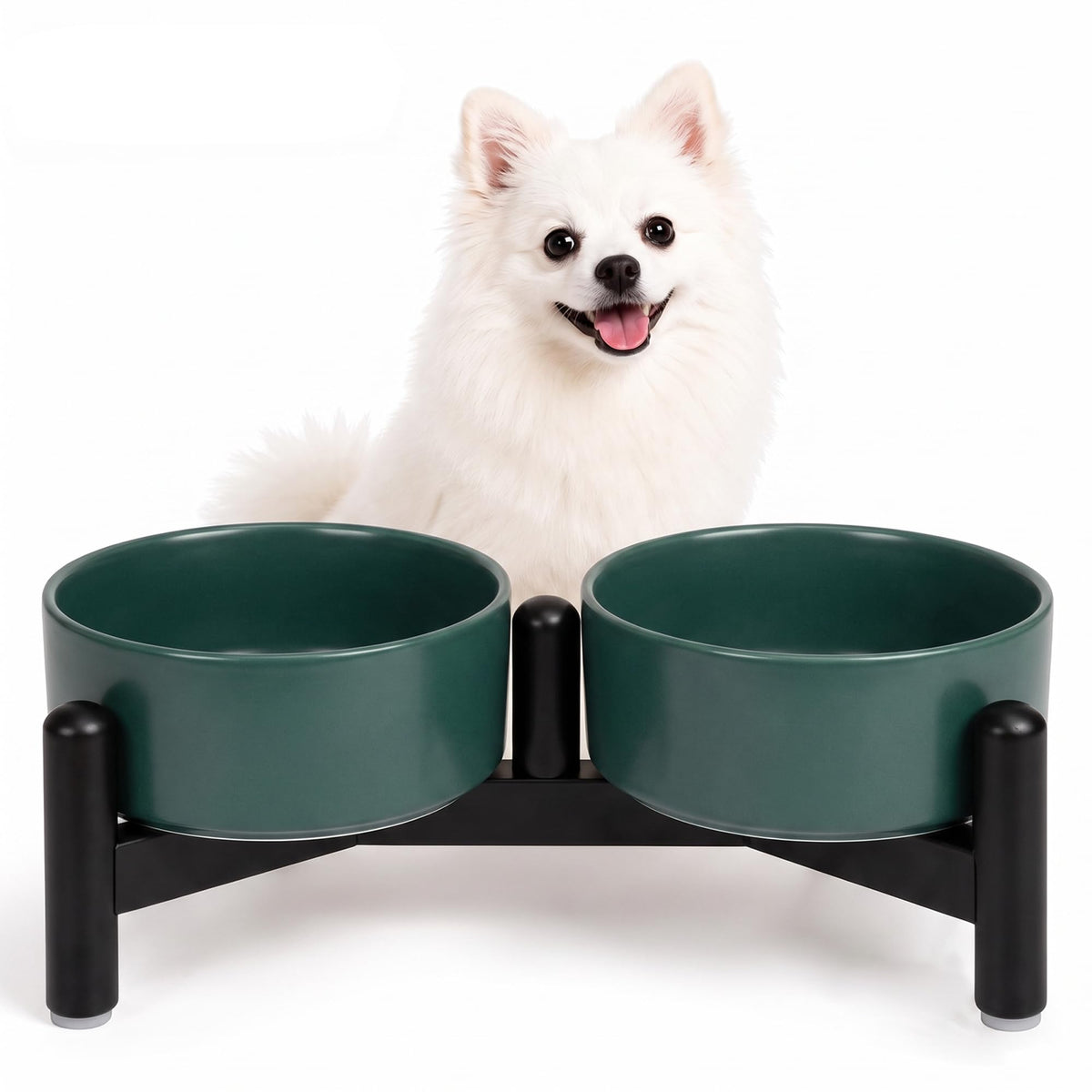 Raised Ceramic Dog Bowl Set with Stand (Green / 2 Bowls - 1.6 Cups Each)