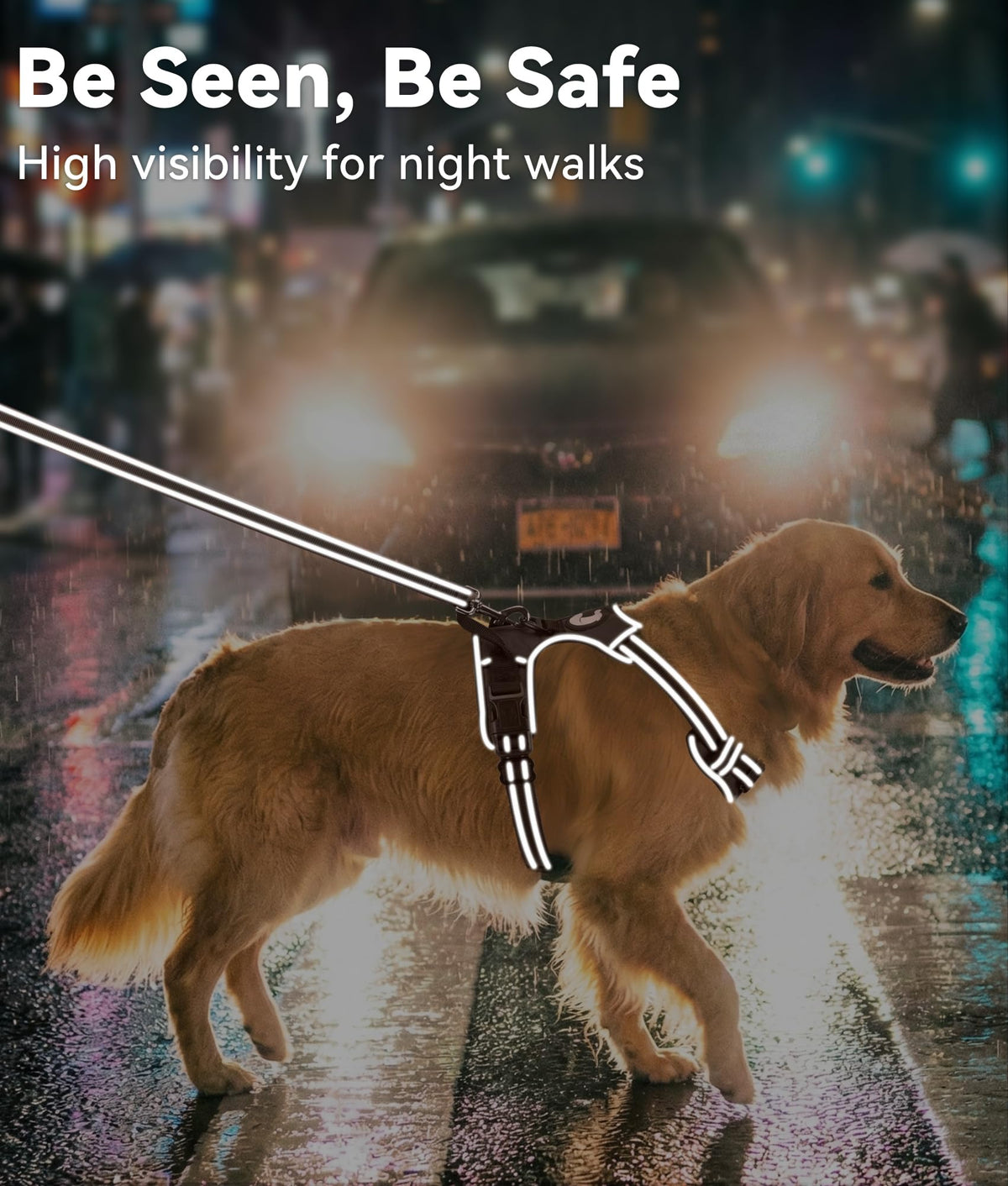 No Pull Dog Harness for Large Dogs (Large / Brown)
