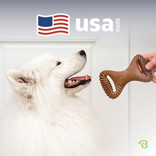 Dental Dog Chew Toy for Aggressive Chewers (REAL Chicken / Large)