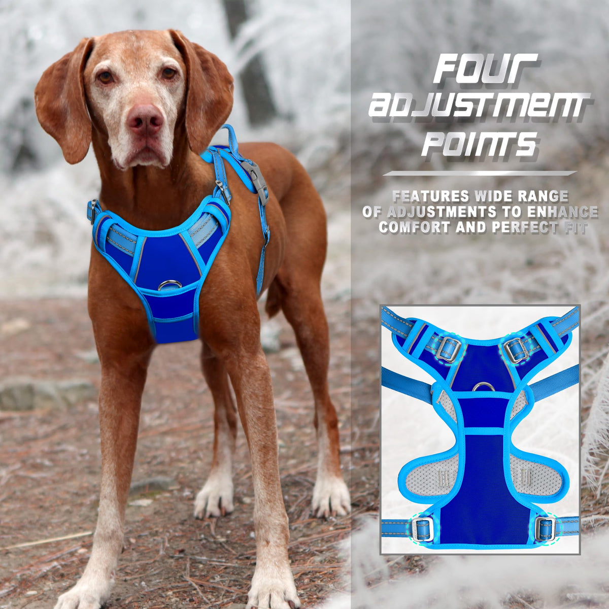 Dog Harness No Pull for Large Dogs Front Back Clips (X-Large(Chest:30-38”) / Sapphire Blue & Blue)