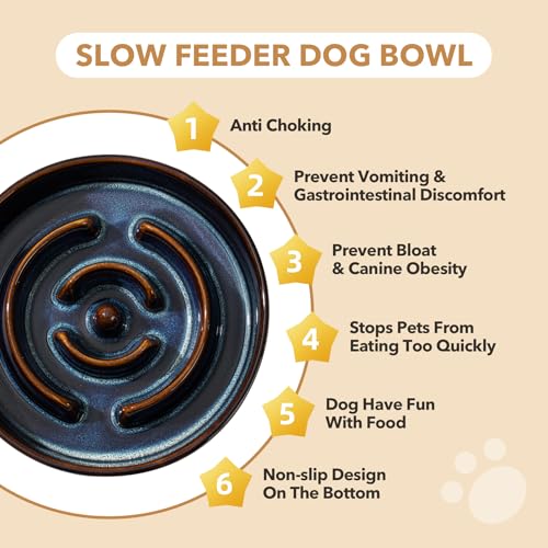Raised Slow Feeder Dog Bowls (1 x Starry Sky + Stand - A / M- 7.3inch / 1.2 Cups)